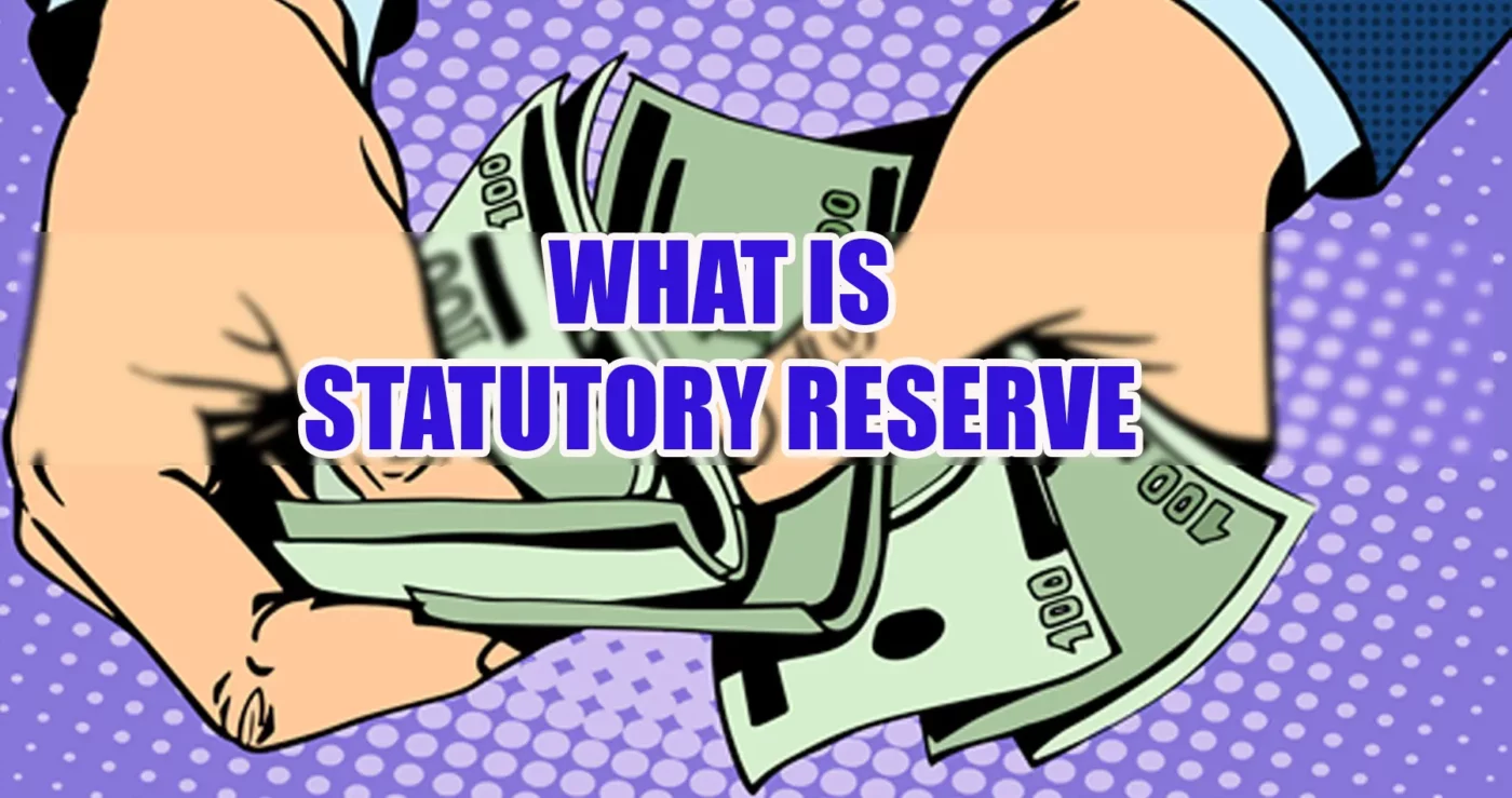 What is a statutory reserve in accounting